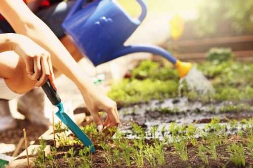 Gardeners White City team working safely in a residential garden