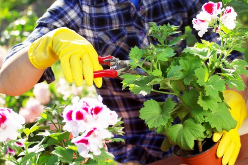 Illustration of cookie settings for Gardeners White City website