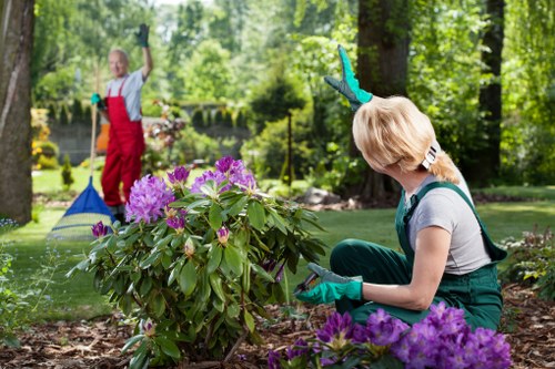 Healthy green lawn care in White City with neat turf and fresh growth