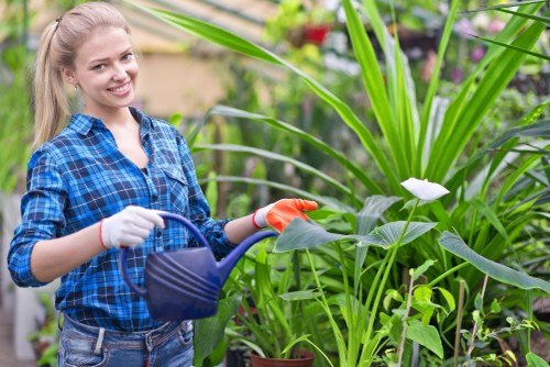 Gardeners in White City introducing thoughtful outdoor care