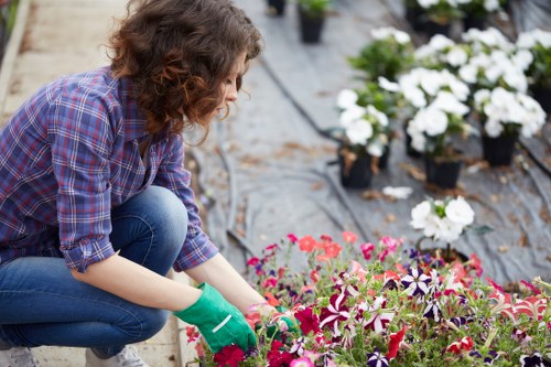 Illustration of accessible gardening services in White City