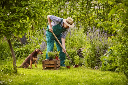 Professional White City gardeners shaping a balanced outdoor space