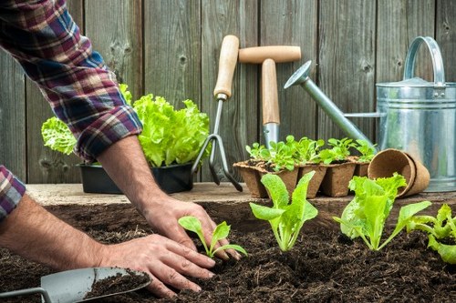 Gardener resolving a service issue with a structured response
