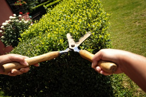White City outdoor space with paths, borders, and lawn