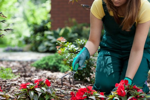 White City garden planting and hard landscaping design