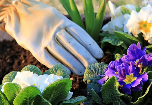 Load-based garden waste quote for a busy White City property