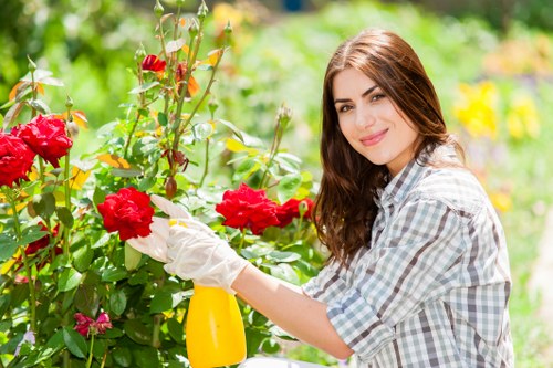 Professional White City gardening maintenance with planting and trimming