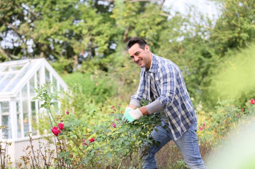 Lawn mowing and garden upkeep in White City residential outdoor space