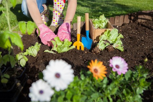 About Us Gardeners White City with a focus on quality and long-term garden health