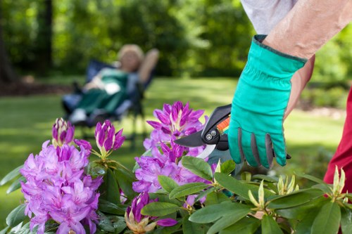Seasonal garden maintenance in White City with healthy plants and clean paths