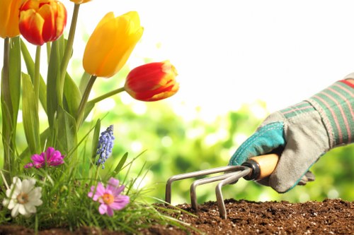 Seasonal planting and garden structure in White City