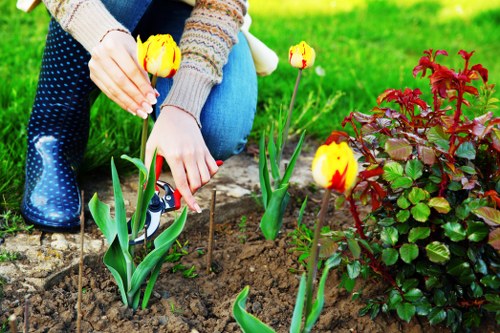 Inclusive digital access concept for White City garden services