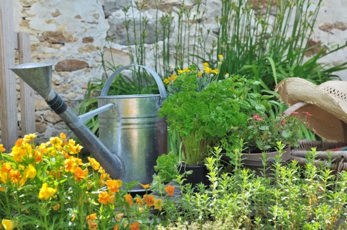 Landscape and lawn care services in White City for homes and businesses