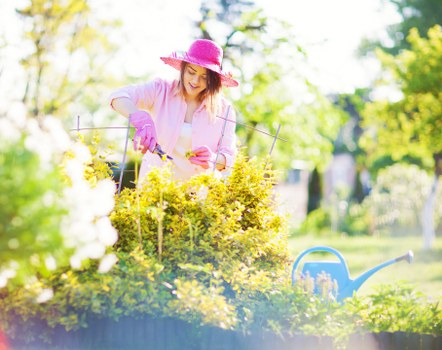 Policy commitment to safe and responsible garden services