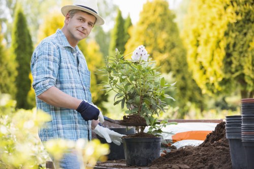 Seasonal lawn mowing in White City for a tidy outdoor space