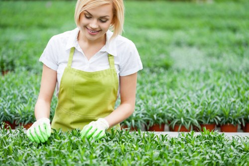 Local White City gardening team focused on healthy landscape maintenance
