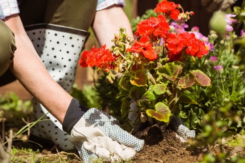 Fertilizing turf as part of lawn care in White City
