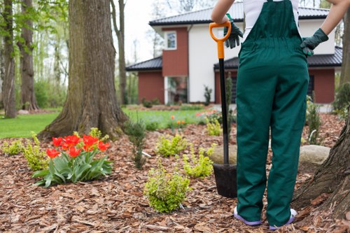 Garden planning and hard landscaping in White City