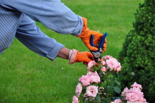 Removal of moss and algae during patio cleaning in White City