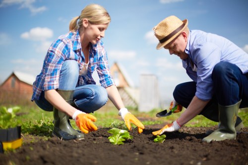 Professional mowing practices for lawn care in White City