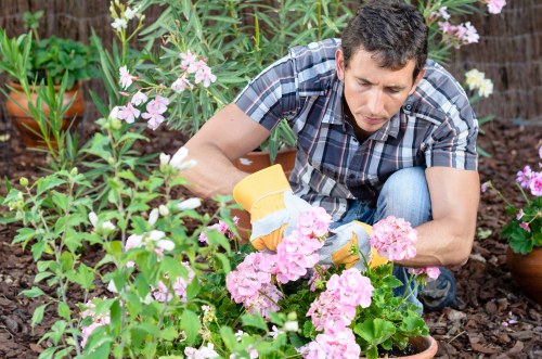 Personal protective equipment used during gardening tasks