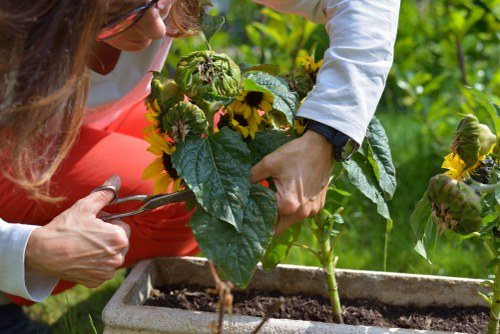 Garden service complaint being assessed with care and fairness